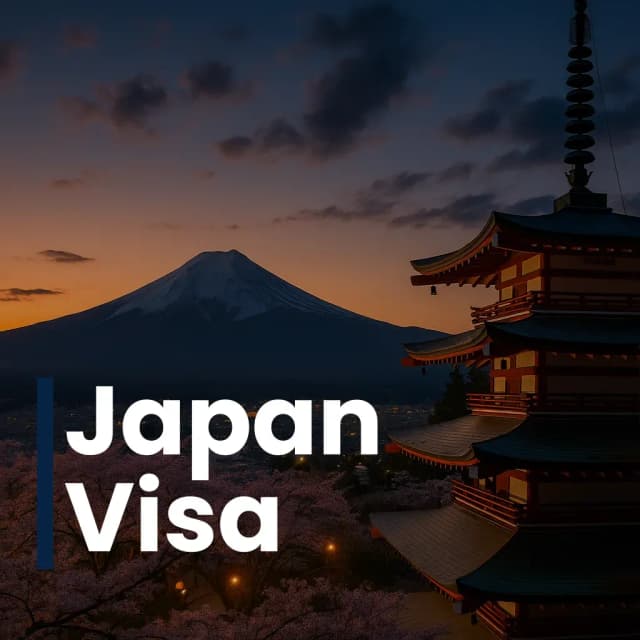 Visa 13
