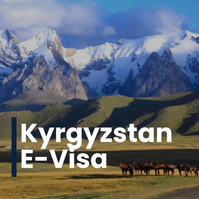 Visa 20