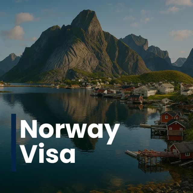 Visa 31